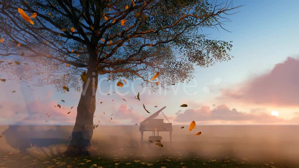 Leaves falling and piano Videohive 19887360 Motion Graphics Image 1