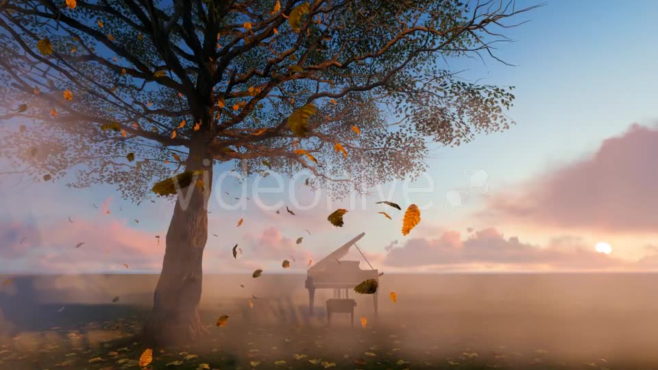 Leaves falling and piano Videohive 19887360 Motion Graphics Image 2