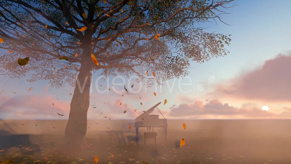 Leaves falling and piano Videohive 19887360 Motion Graphics Image 3