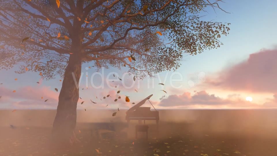 Leaves falling and piano Videohive 19887360 Motion Graphics Image 5