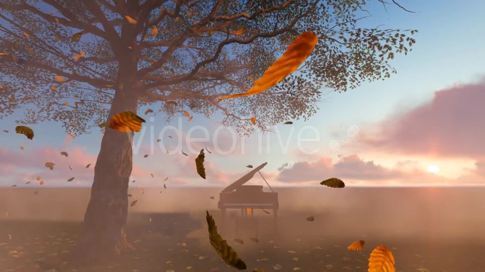 Leaves falling and piano Videohive 19887360 Motion Graphics Image 6
