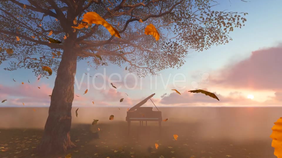 Leaves falling and piano Videohive 19887360 Motion Graphics Image 7