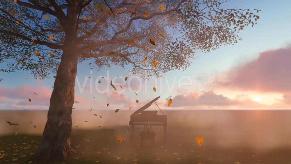 Leaves falling and piano Videohive 19887360 Motion Graphics Image 8