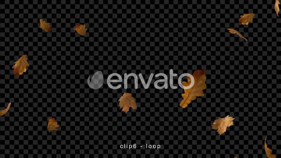 Leaves Falling | Autumn Season Videohive 22582691 Motion Graphics Image 11