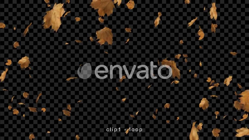 Leaves Falling | Autumn Season Videohive 22582691 Motion Graphics Image 2