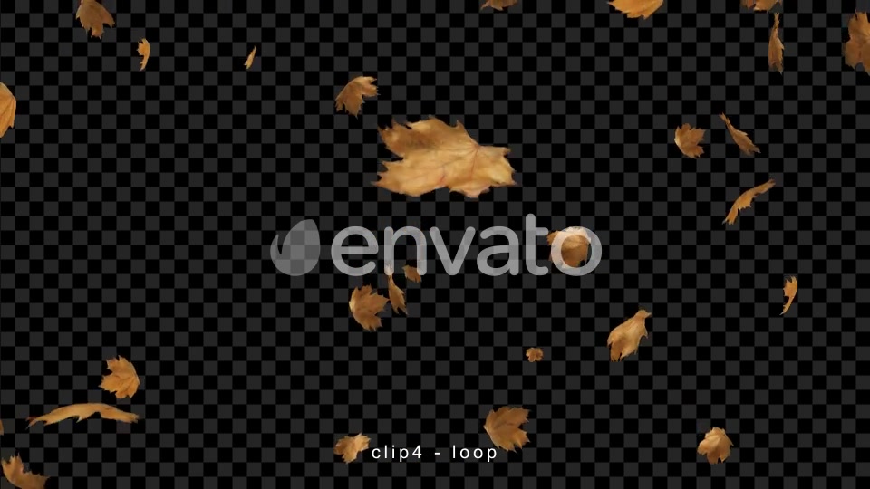 Leaves Falling | Autumn Season Videohive 22582691 Motion Graphics Image 7