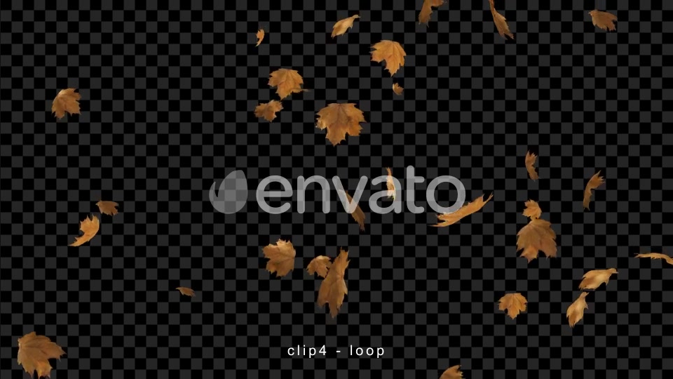 Leaves Falling | Autumn Season Videohive 22582691 Motion Graphics Image 8