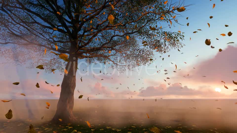 Leaves falling Videohive 19887350 Motion Graphics Image 1