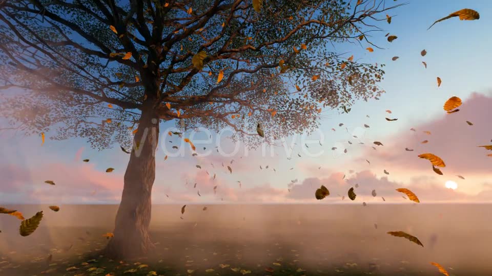 Leaves falling Videohive 19887350 Motion Graphics Image 2