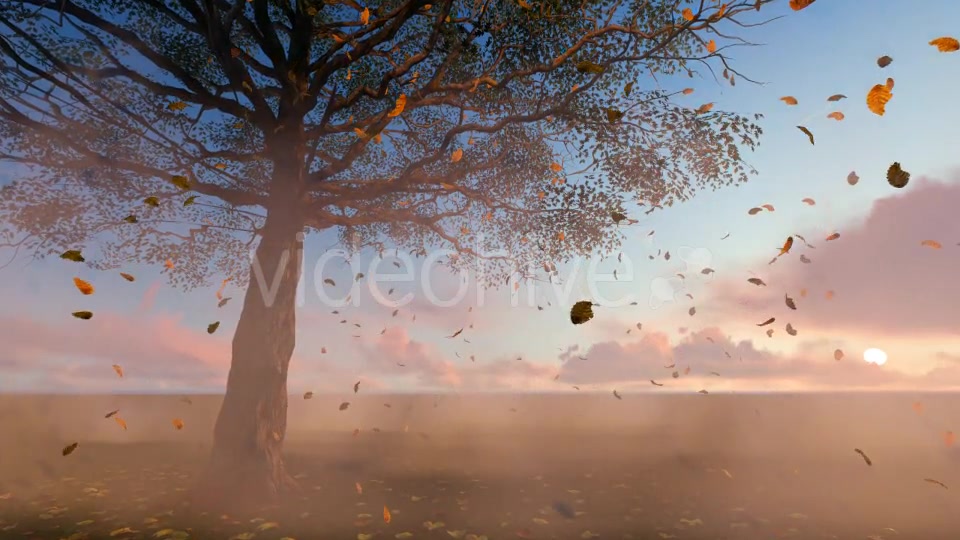 Leaves falling Videohive 19887350 Motion Graphics Image 3