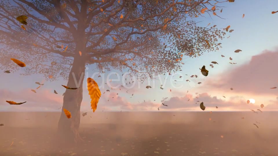 Leaves falling Videohive 19887350 Motion Graphics Image 4