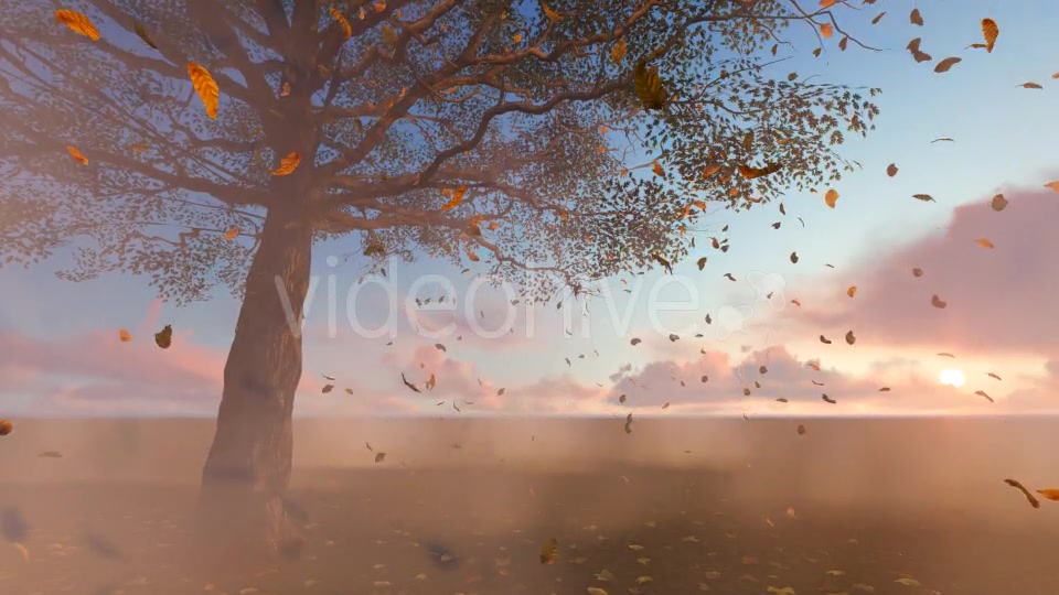 Leaves falling Videohive 19887350 Motion Graphics Image 5