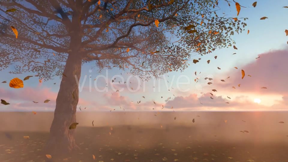 Leaves falling Videohive 19887350 Motion Graphics Image 6