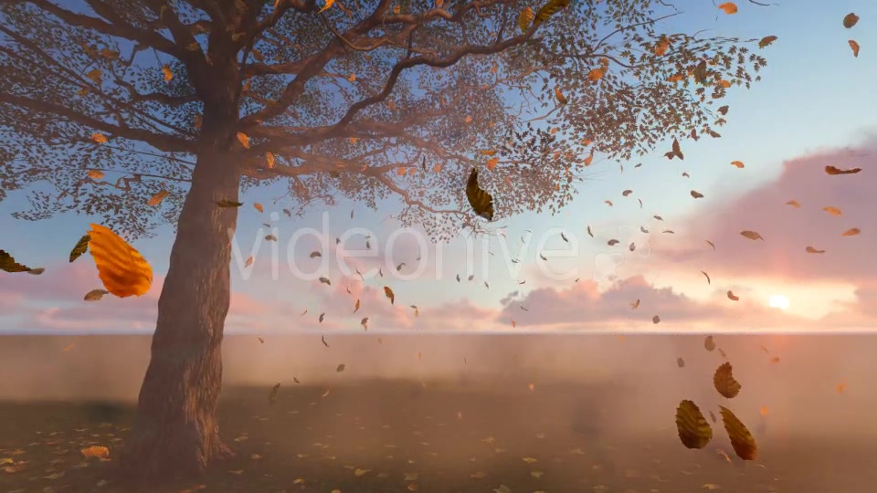 Leaves falling Videohive 19887350 Motion Graphics Image 7