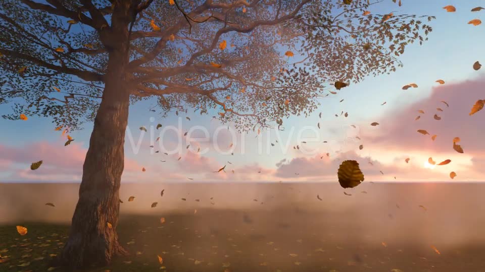 Leaves falling Videohive 19887350 Motion Graphics Image 8