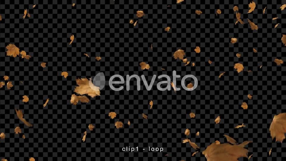 Leaves Falling Videohive 22660781 Motion Graphics Image 1