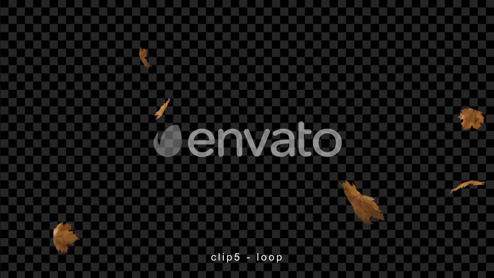 Leaves Falling Videohive 22660781 Motion Graphics Image 10