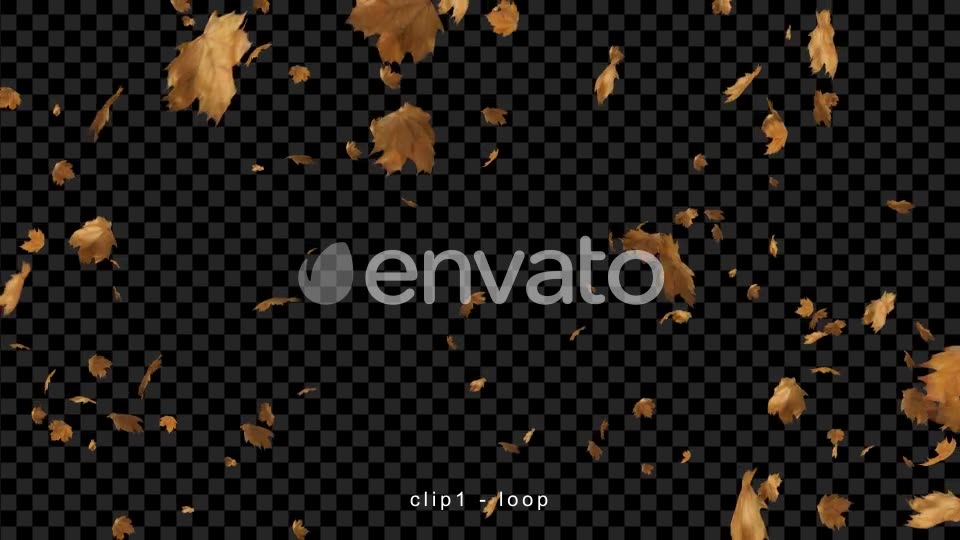 Leaves Falling Videohive 22660781 Motion Graphics Image 2