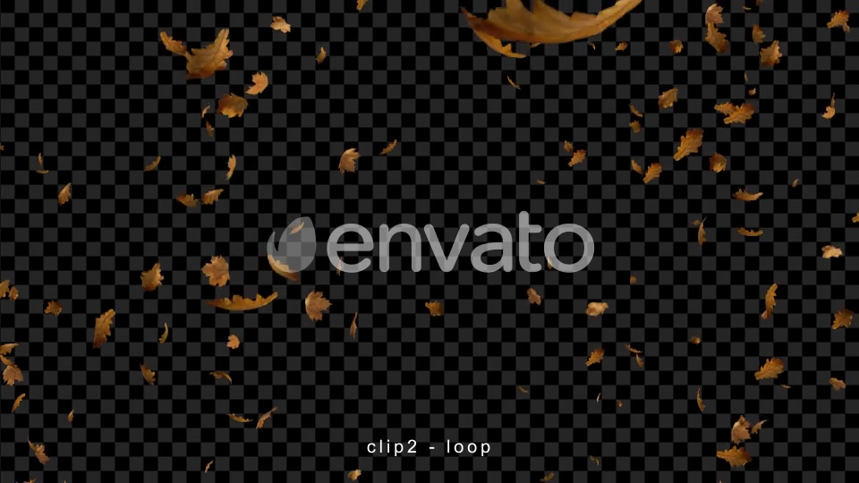 Leaves Falling Videohive 22660781 Motion Graphics Image 3