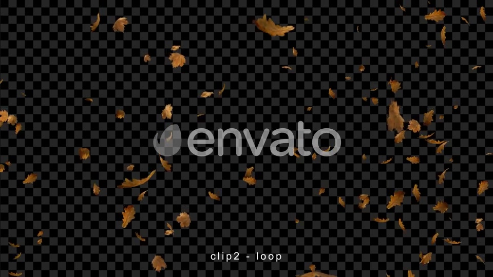 Leaves Falling Videohive 22660781 Motion Graphics Image 4