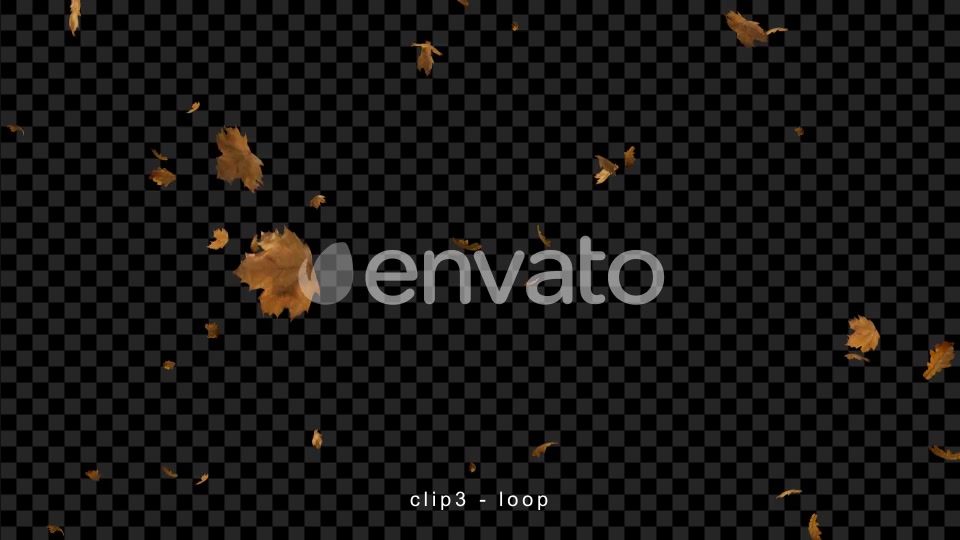 Leaves Falling Videohive 22660781 Motion Graphics Image 5