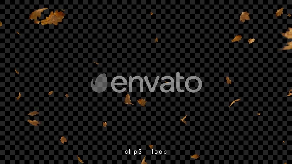 Leaves Falling Videohive 22660781 Motion Graphics Image 6