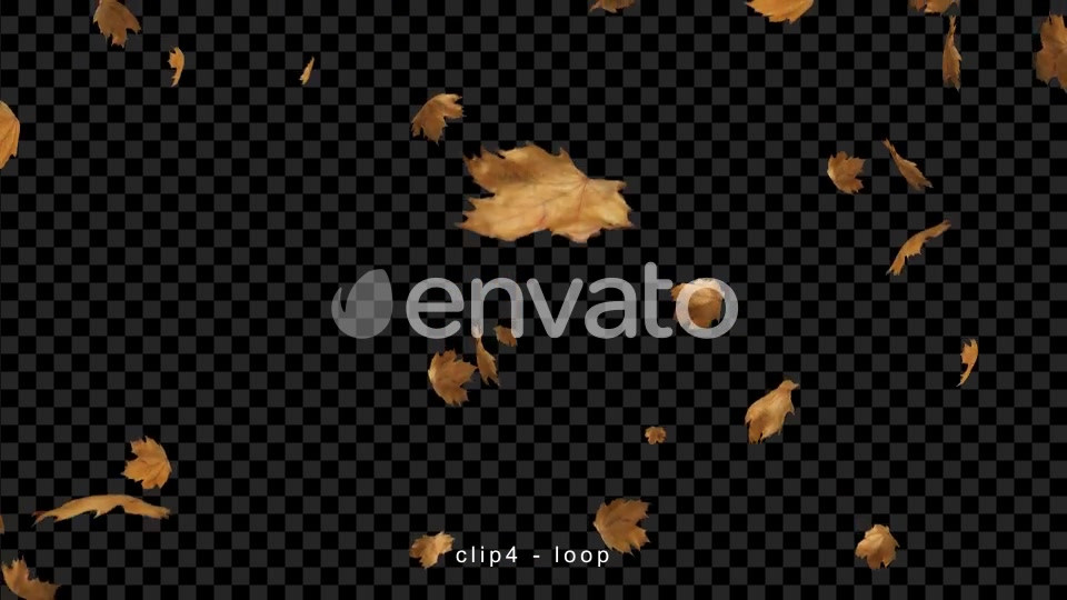 Leaves Falling Videohive 22660781 Motion Graphics Image 7