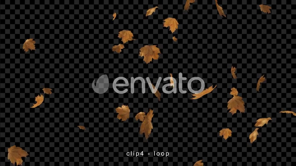 Leaves Falling Videohive 22660781 Motion Graphics Image 8