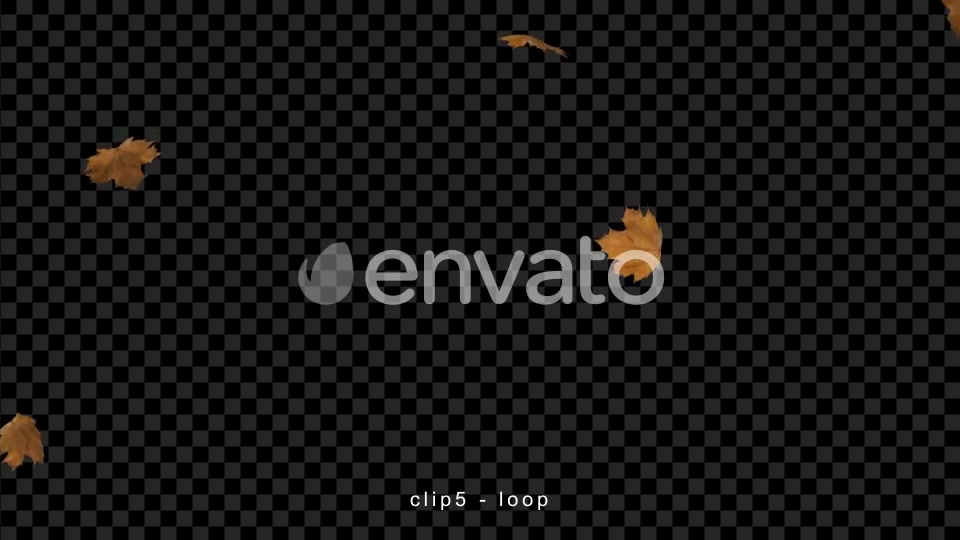 Leaves Falling Videohive 22660781 Motion Graphics Image 9