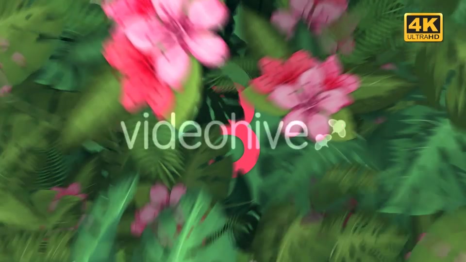 Leaves Transitions 4 Pack 4K Videohive 21399937 Motion Graphics Image 5