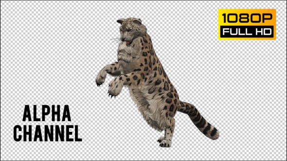 Leopard - Download Videohive 20833230
