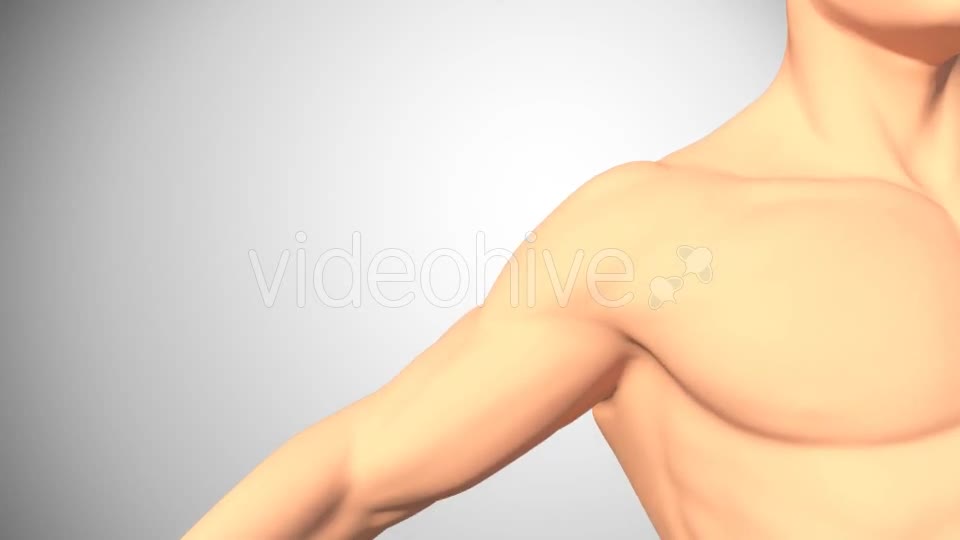 Lesion Of The Rotator Cuff Videohive 16084951 Motion Graphics Image 1