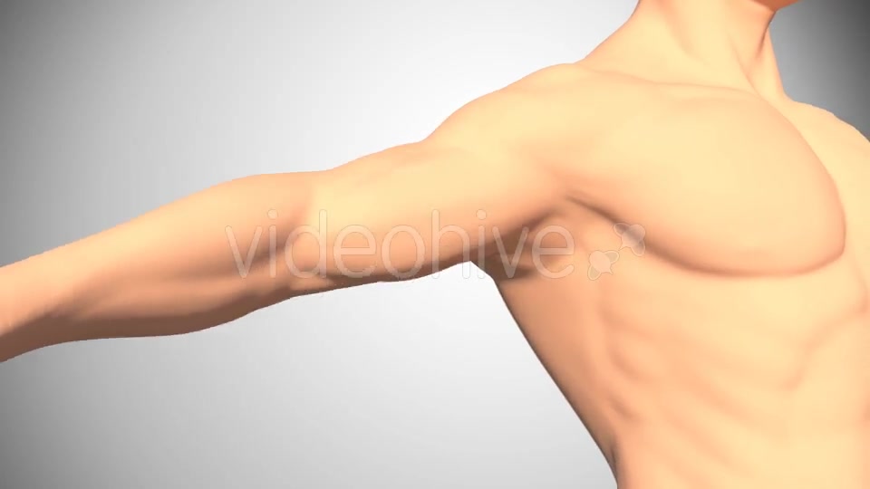 Lesion Of The Rotator Cuff Videohive 16084951 Motion Graphics Image 3