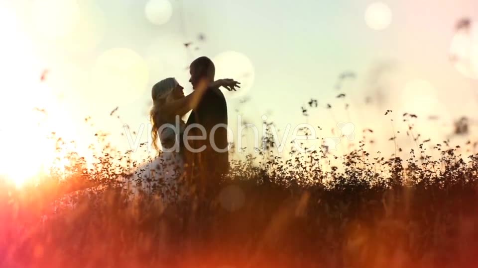 Light Leaks and Bokehs Videohive 14916985 Motion Graphics Image 2