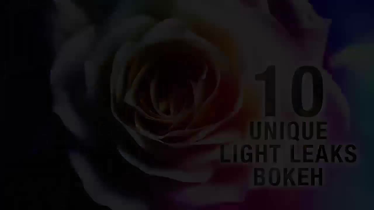 Light Leaks & Bokeh Videohive 19304796 Motion Graphics Image 1