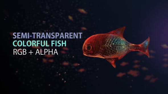 Lingering Semi transparent Colorful Fish - Download Videohive 19828300