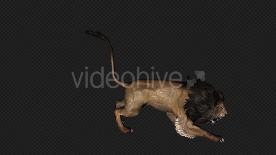 Lion Attack And Firing 6 In 1 Videohive 19869166 Motion Graphics Image 1