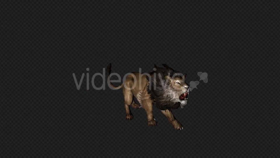 Lion Attack And Firing 6 In 1 Videohive 19869166 Motion Graphics Image 2