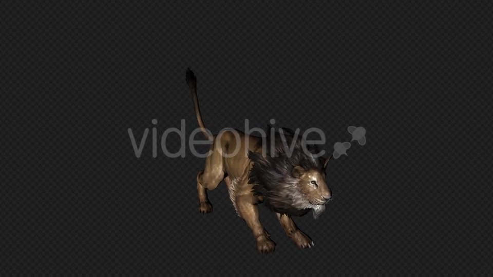 Lion Attack And Firing 6 In 1 Videohive 19869166 Motion Graphics Image 4