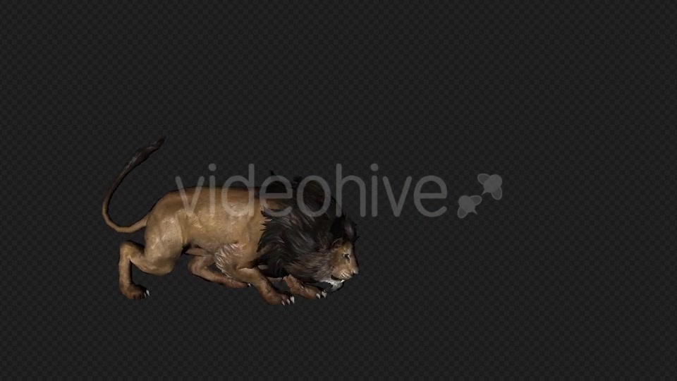 Lion Attack And Firing 6 In 1 Videohive 19869166 Motion Graphics Image 5