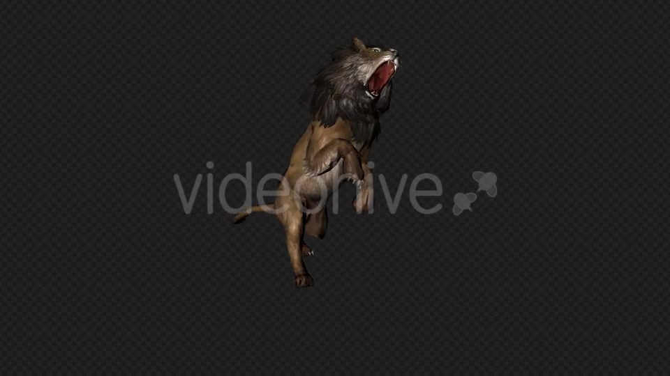 Lion Attack And Firing 6 In 1 Videohive 19869166 Motion Graphics Image 7