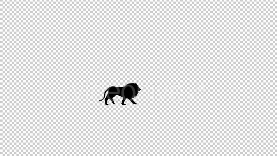Lion Fast Walk Silhouette Animation Videohive 20475063 Motion Graphics Image 5