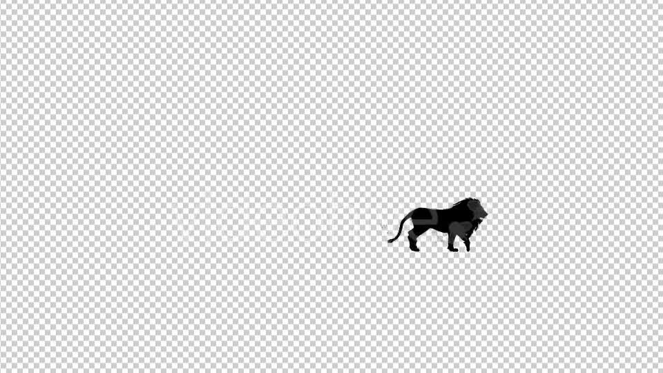 Lion Fast Walk Silhouette Animation Videohive 20475063 Motion Graphics Image 7