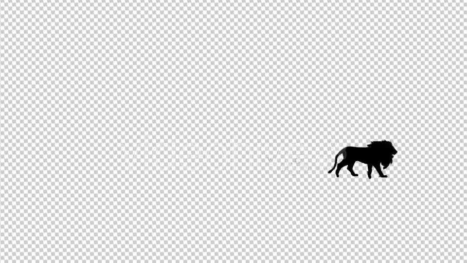Lion Fast Walk Silhouette Animation Videohive 20475063 Motion Graphics Image 8