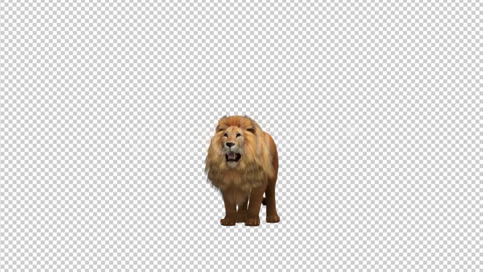 Lion Roar Videohive 21178911 Motion Graphics Image 1