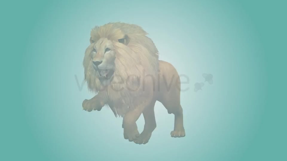 Lion Running Loop 01 Videohive 19985088 Motion Graphics Image 2