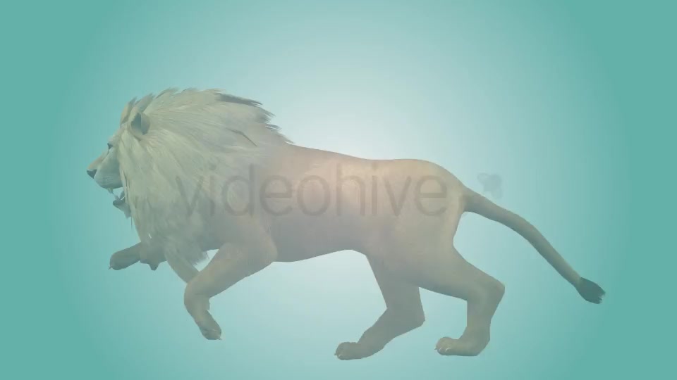 Lion Running Loop 02 Videohive 19985136 Motion Graphics Image 2