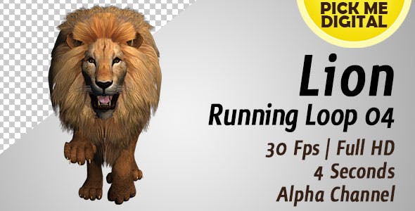 Lion Running Loop 04 - Download Videohive 19985184