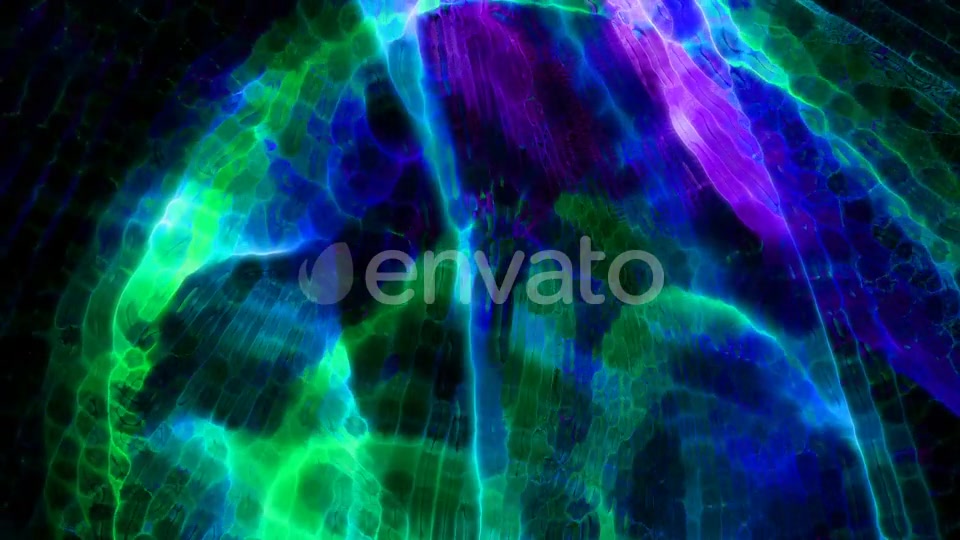 Liquid Clear Texture Videohive 22786410 Motion Graphics Image 9