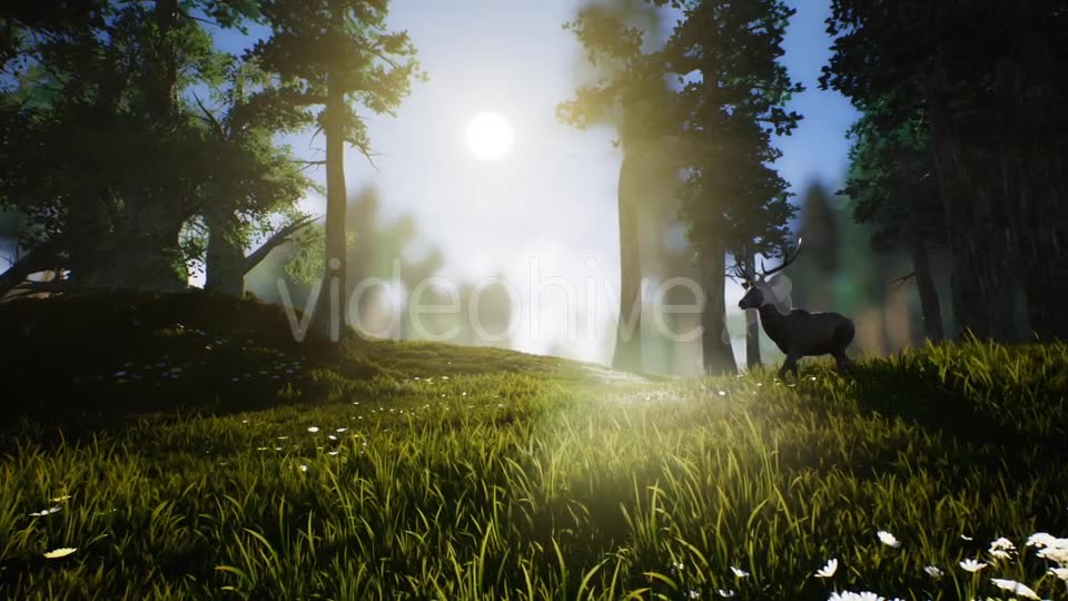 Lonely Deer Videohive 20746388 Motion Graphics Image 2
